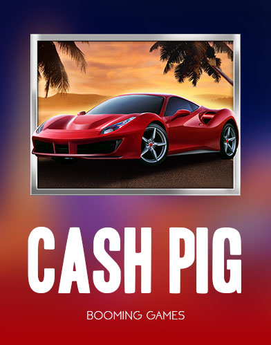 Cash Pig