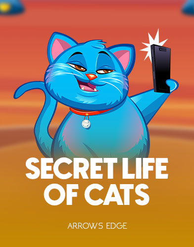 Secret Life Of Cats