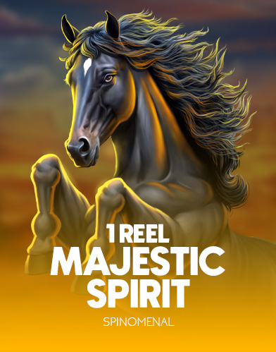 1 Reel - Majestic Spirit
