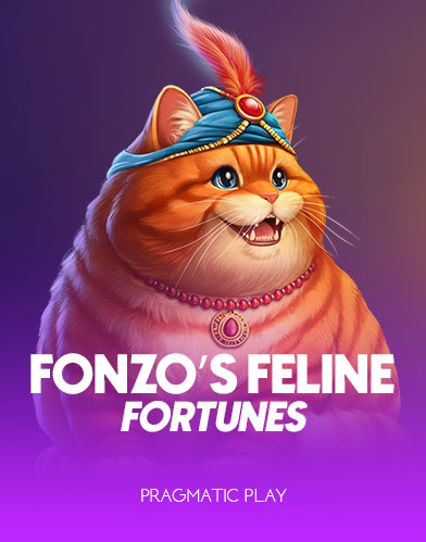 Fonzo's Feline Fortunes