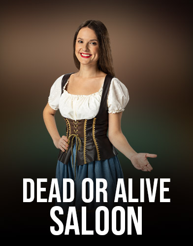 Dead or Alive: Saloon