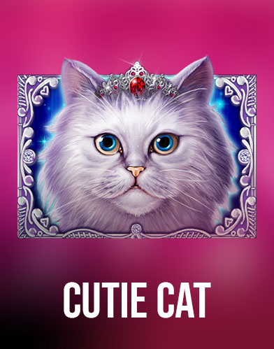 Cutie Cat