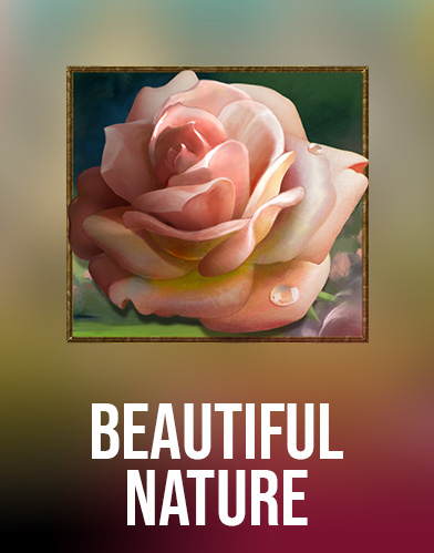 Beautiful Nature