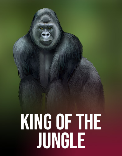 King of the Jungle
