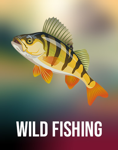 Wild Fishing
