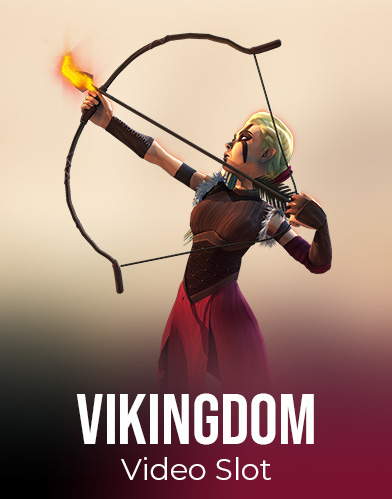 Vikingdom Video Slot