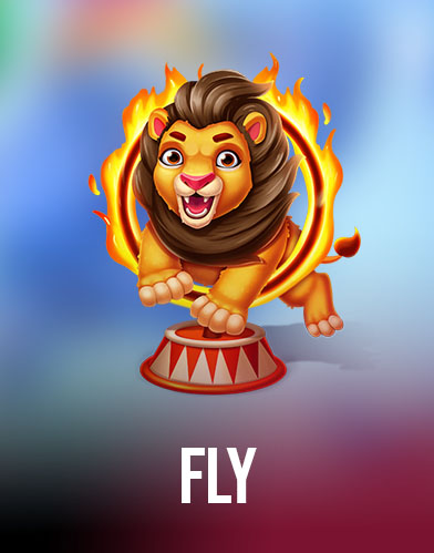 Fly