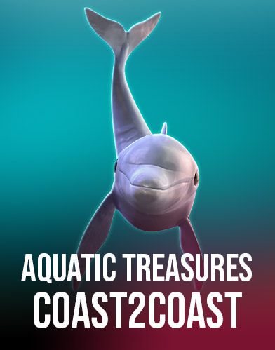 Aquatic Treasures Coast 2 Coast