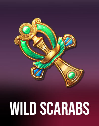 Wild Scarabs