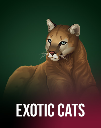 Exotic Cats