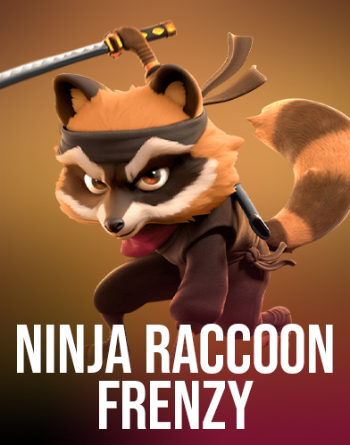 Ninja Raccoon Frenzy