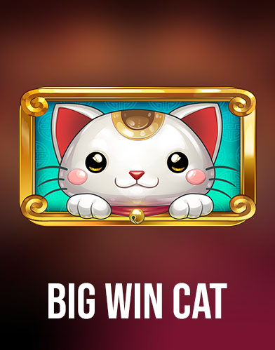 Big Win Cat