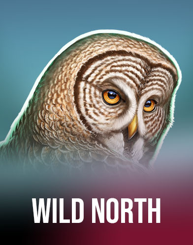 Wild North