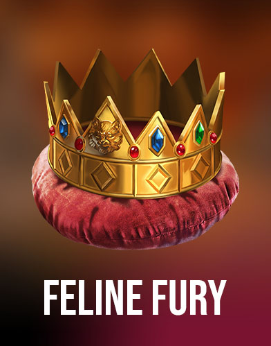 Feline Fury
