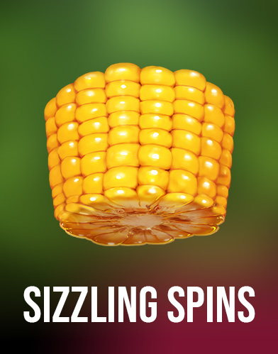 Sizzling Spins