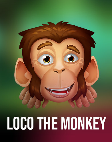 Loco the Monkey