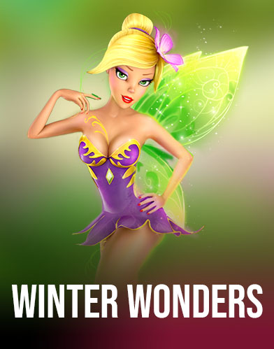 Winter Wonders