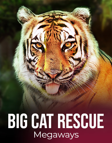 Big Cat Rescue Megaways
