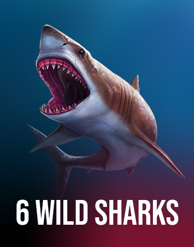 6 WILD SHARKS