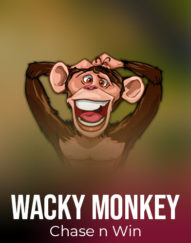 Wacky Monkey - Chase'N'Win