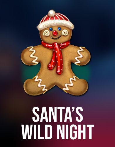 Santa's Wild Night
