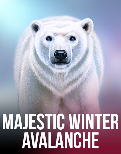 Majestic Winter - Avalanche