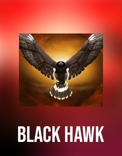 Black Hawk