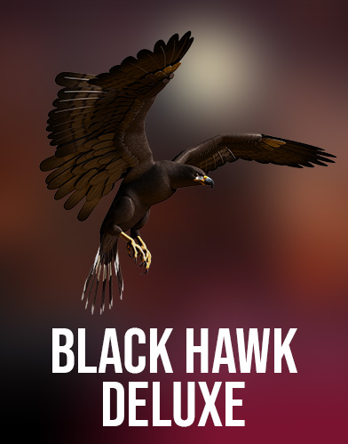 Black Hawk Deluxe