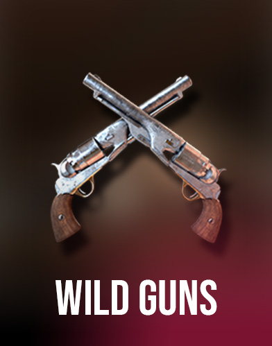 Wild Guns