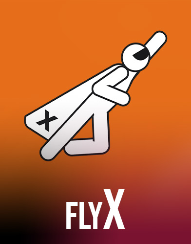 FlyX