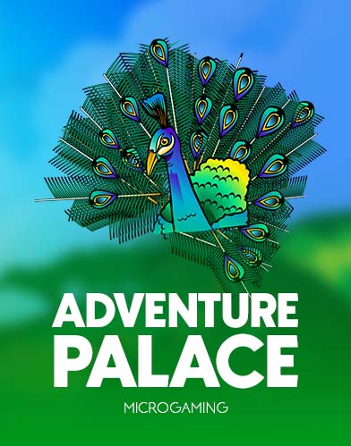 Adventure Palace