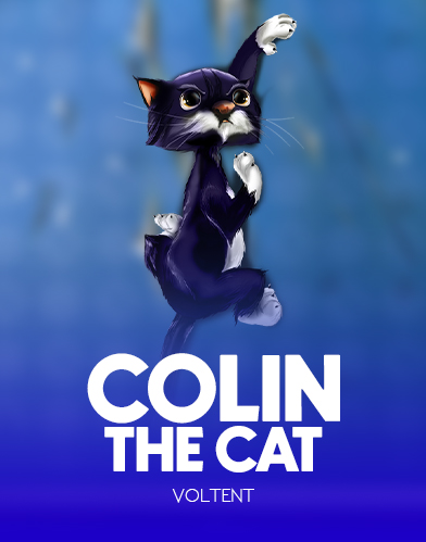 Colin The Cat