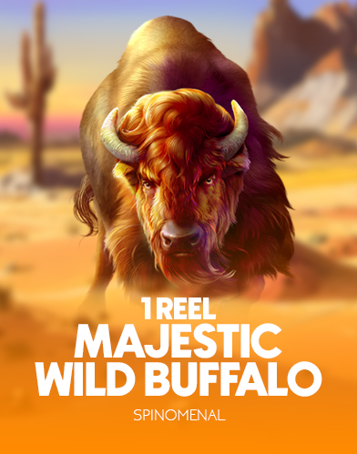 1 Reel - Majestic Wild Buffalo