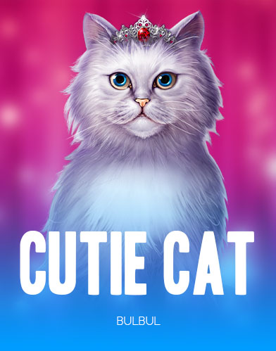 Cutie Cat
