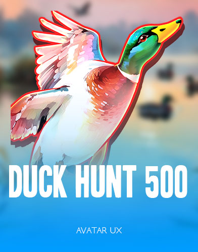 Duck Hunt 500