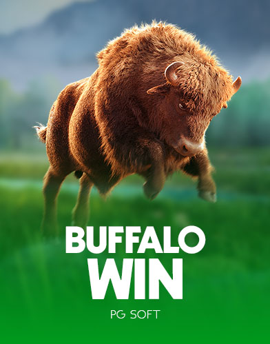 Buffalo Win