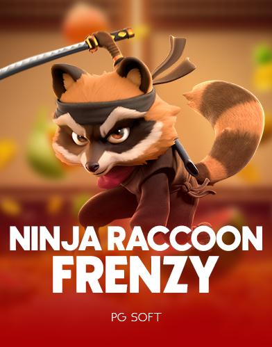 Ninja Raccoon Frenzy