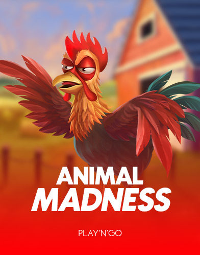 Animal Madness