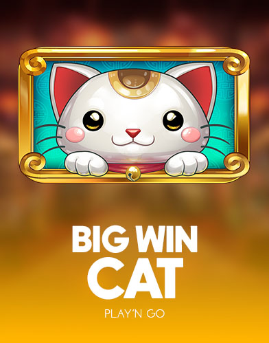 Big Win Cat