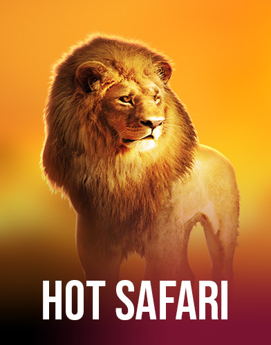 Hot Safari